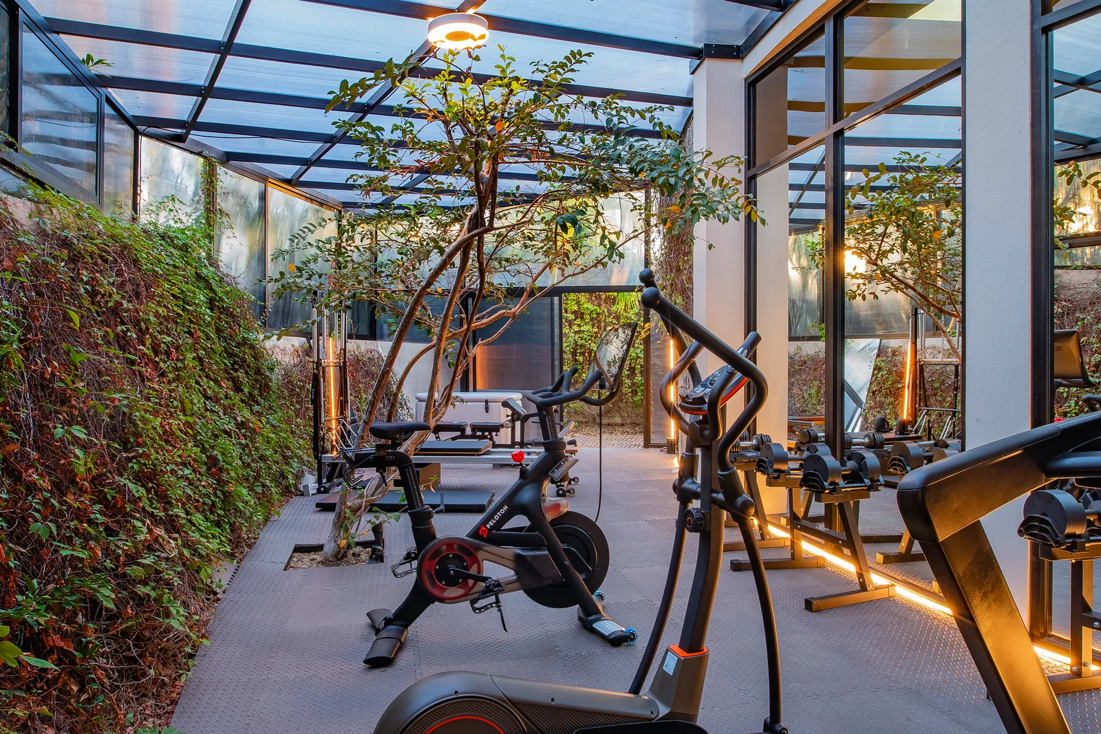 Glass-enclosed gym with jungle view